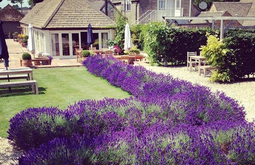 Minchinhampton House | The Ragged Cot