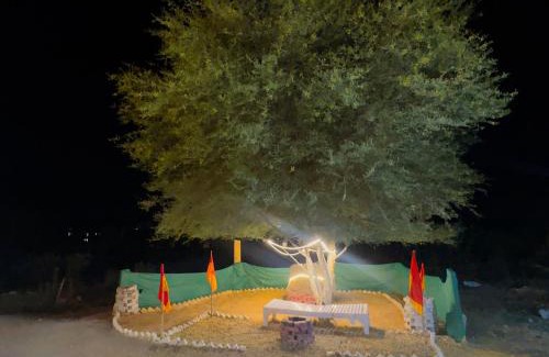 Jaisalmer Hotel | The Rathore Heritage