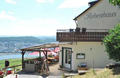 Mainz-Bingen Apartment | The Rebenhaus - with a sensational view of the Rhine Valley. Apartment for 2