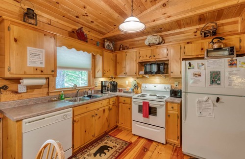 Blue Ridge Cabin | The Red Roof Cottage in Cherry Log Mountain