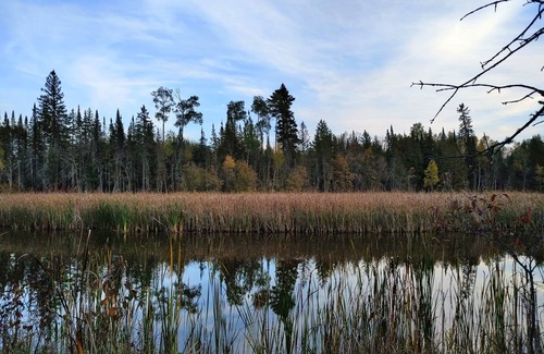 Ray Cabin | The River Retreat! Private Wooded Getaway