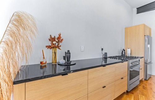 Asheville Condo | The Sapphire at Wanderlust Lofts