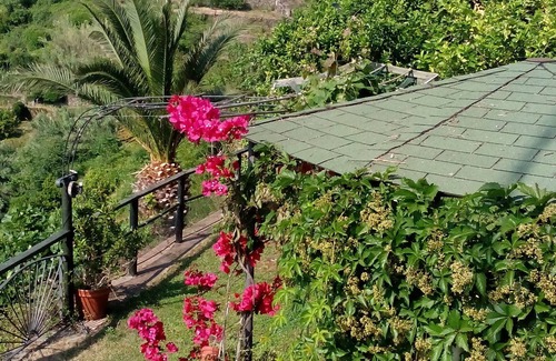 Corniglia House | the sea from the balcony, wonderful view. citra code: 011030-LT-0138