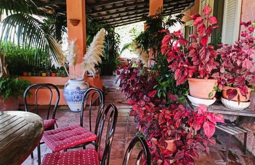 Maratea Apartment | The Secret Garden Maratea - Casa di Elena