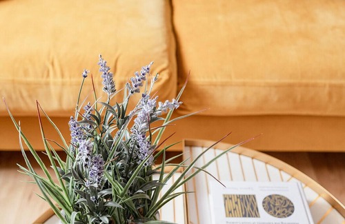 Kingussie Condo | The Seelies - Aparthotel - The Queen's Lodge - 2 Bedroom Apartment