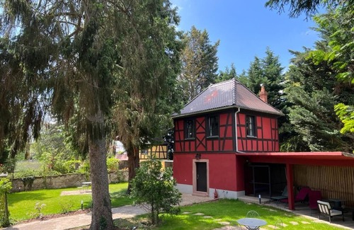 Ostheim Apartment | The Sequoia, an enchantment among trees