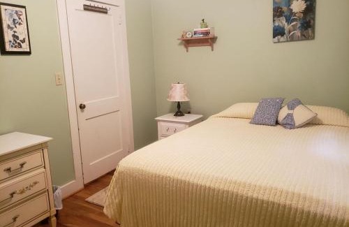 Shady Valley House | The Shady House
