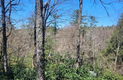 Highlands House | The Spotted Owl