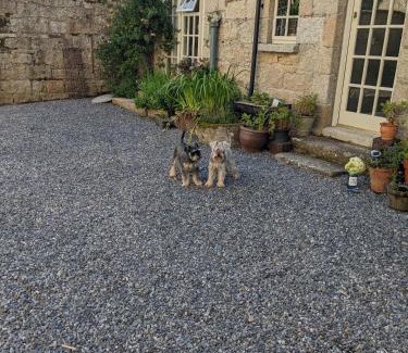 Kilgreaney House | The Stables at Lorum Old Rectory