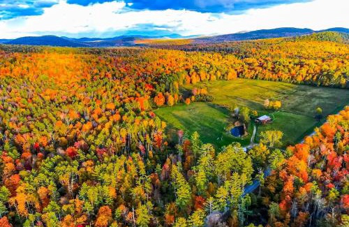 Chestertown House | The Stock Farm
