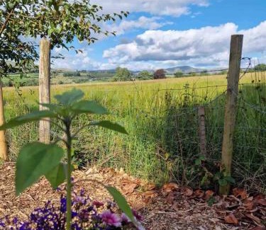 Kendal House | The Studio at Pinethwaite