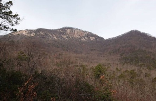 Travelers Rest Apartment | The Suite at Belvue beautiful view