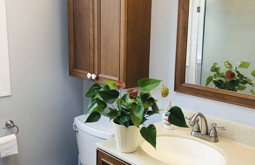 West Side Bed & Breakfast | The Sunshine House
