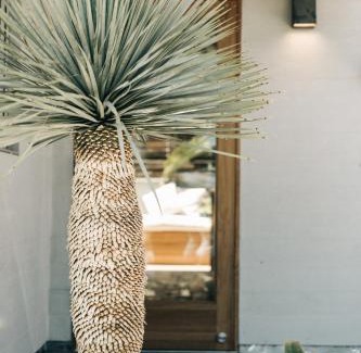 Eastern Malibu Hotel | The Surfrider Malibu