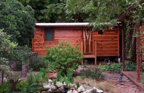 Travis Heights House | The Treecycle