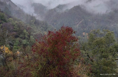 Cazadero Cabin | "The Treehouse" Cabin on 275 acres with Private Hiking Trails, Wineries nearby.