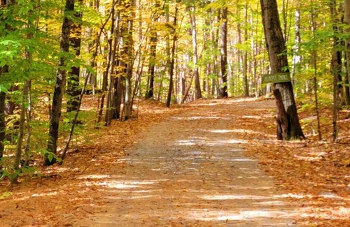 Middle Grove House | The Treehouse Lodge at Brookledge former girls summer camp -1 mi
