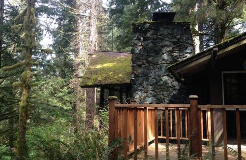 North Bend House | The Treehouse
