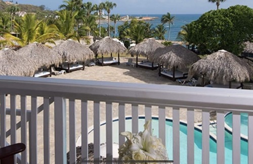 Los Brazos Apartment | The Tropical Junior Suite