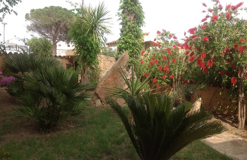 La Caletta House | The two palms from Angelo n. 6