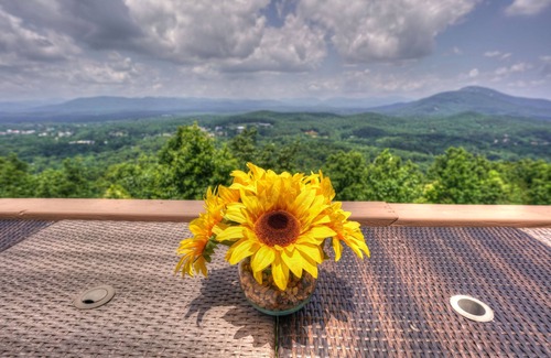 Cleveland House | THE VERY BEST VIEW ~ 4 King Beds, 1 Q, 1 bunk w full. Hot Tub ~ Private Chef