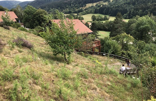 Rochesson Ski Chalet | The Vosges cocoon