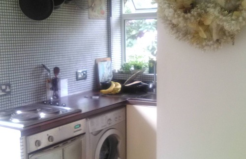 Bournemouth City Centre Apartment | THE WILLOW GARDEN APPARTMENT 8 mins walk to beach 🏖🎡🚤 1 min Tesco 🍶🥖🧀