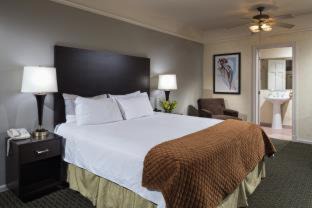 Lake View East Hotel | The Willows Hotel