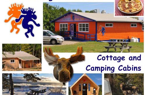 Birch Plain Other | The ZzzzMoose 2 0 Camping Cabin