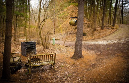 Carbon Hill Cabin | This is a must-see Cabin.