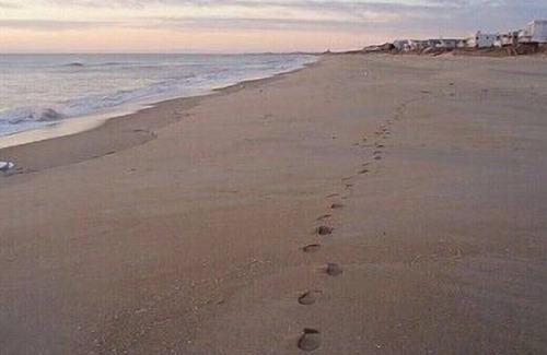 Croatan Beach House | This is the ONE! Book NOW for a perfect family vacation!