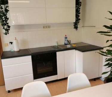 Guenzburg Apartment | Thomas Haus