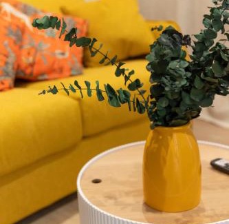 Cite Apartment | Thomas Price Appart