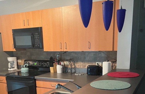 South Eola Apartment | Thornton Park Loft Downtown Orlando