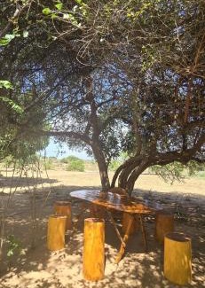 Palatupana Resort | Thumbaya Resort Yala