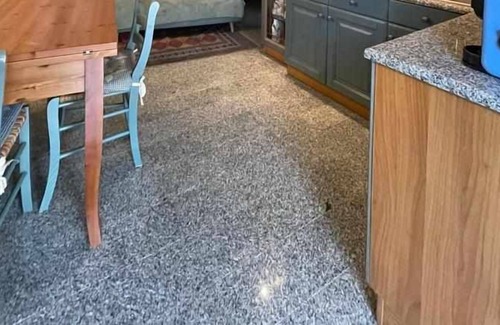 Ponte di Legno Apartment | Tiffany Apartment