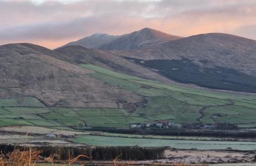 Bothar Bui Apartment | Tigin Dingle