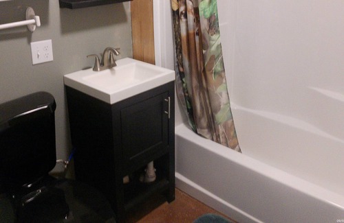 Kinsman House | Tiki Room 1 BR near pymatuning lake