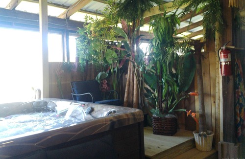 Kinsman House | Tiki Room 1 BR near pymatuning lake