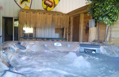 Kinsman House | Tiki Room 1 BR near pymatuning lake