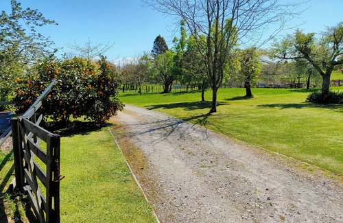 Tikitere Apartment | Tikitere Treasure - Peace, serenity and plenty of birdsong. nStudio unit.