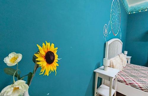 Old City Apartment | Timisoara Central Vibes Belle Vue Apartments