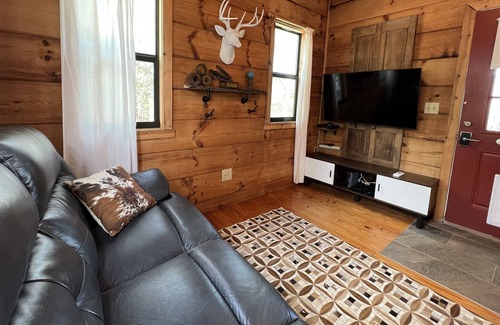 Franklin Cabin | Tiny cabin big mountain view,fast wifi,easy access