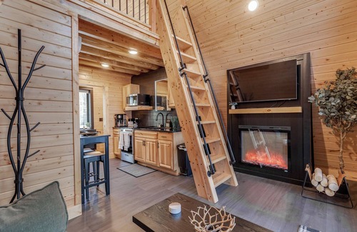 Brainerd Cabin | Tiny Home-A Frame-Sauna-Cold Plunge-Fire Pit-Seclusion