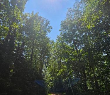 Presque Isle Villa | Tiny House Cabin-Presque Isle Campground #30