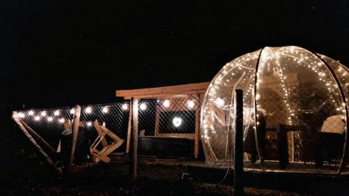 Colibita Ski Chalet | Tiny House Colibita