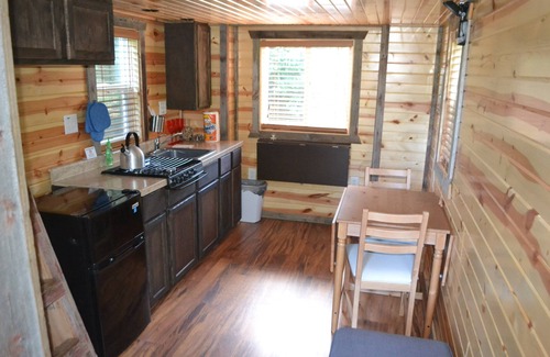 Reedsburg Cabin | Tiny House-Cozy Log Cabin Tucked in the Tall Pines! Near Devil's Lake N Dells