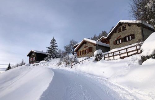 Monteiller Ski Chalet | Tiny House facing the Alps - Ski in, Ski out