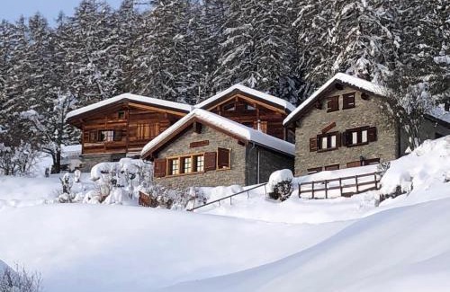 Monteiller Ski Chalet | Tiny House facing the Alps - Ski in, Ski out