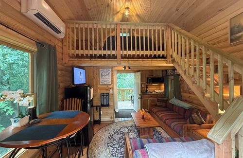 Lake Barcroft Cabin | Tiny House/Log Cabin in beautiful wooded urban setting